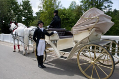 Свадебный фаэтон, запряженный парой лошадей