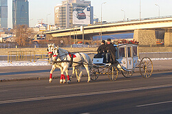 Свадебная карета, запряженая парой лошадей