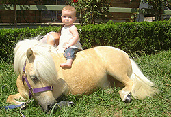 Зачем ребенку пони - советы коневодов