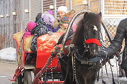 Катание на лошади в Москве