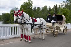 Свадебный фаэтон, запряженный парой лошадей