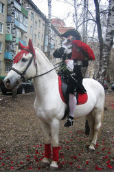 Лошади с доставкой, верховые лошади на заказ: принц на белом коне