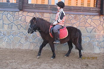 Ваш сын или дочка  смогут управлять лошадью, преодолевать препятствия