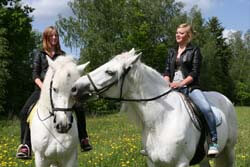 Обучение верховой езде, занятия конным спортом